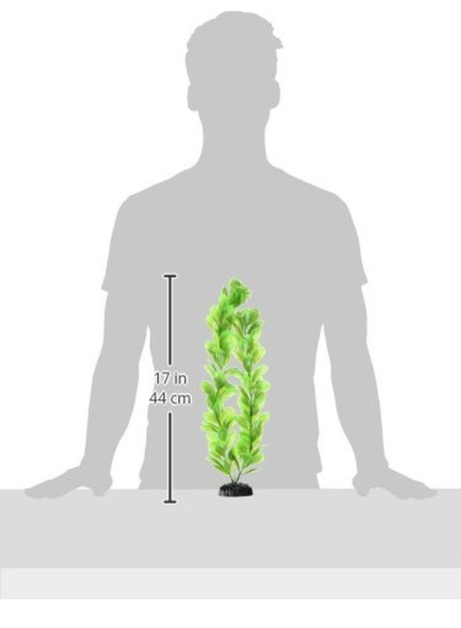 Underwater Treasures Green Bacopa - 16" - Image 2